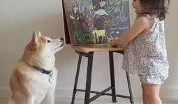 艺犬堂员工爆料视频大全,揭秘幕后真相与内幕视频大盘点