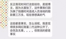 小条网红黑历史爆料视频,那些被隐藏的黑历史瞬间